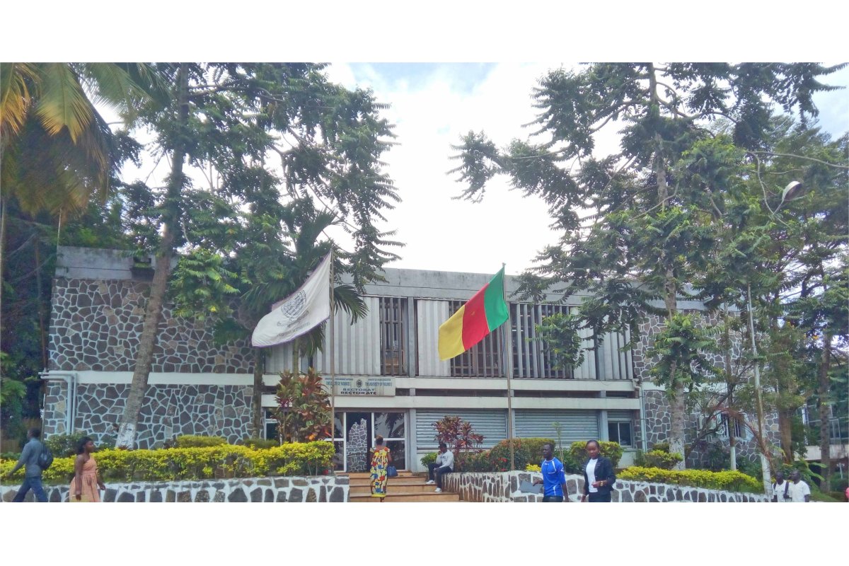 Université de Yaoundé 1 - Photo 1
