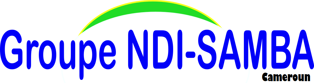Logo - Institut Universitaire J. NDI SAMBA