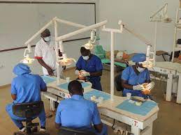 Logo - Institut Supérieur des Sciences de la Santé  de Bangangté (ISSS)