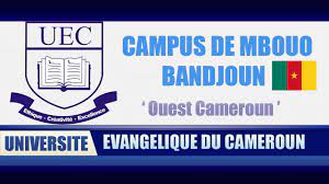 Logo - Institut Universitaire Evangélique du Cameroun