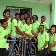 Logo - Chartered Higher Institute of Cameroon (CHIC)