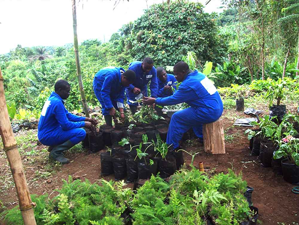Banner - Horti-Florale Institute (HFI)
