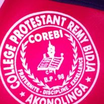 Banner - COLLEGE PROTESTANT REMY BIDJA