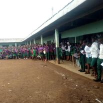 Logo - COLLEGE BILINGUE TIAKO CAROLE ET CLAUDIA