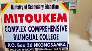 Logo - NSTITUT POLYVALENT MITOUKEM