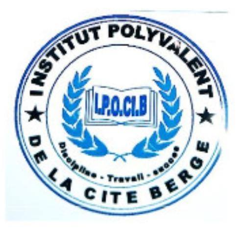 Banner - INSTITUT POLYVALENT DE LA CITE BERGE