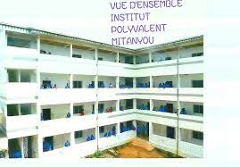 Logo - INSTITUT POLYVALENT MITANYOU