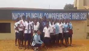 Logo - NACHO BILINGUAL COMPREHENSIVE HIGH SCHOOL