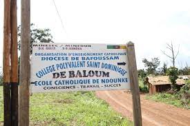 Logo - COLLEGE SAINT DOMINIQUE DE BALOUM