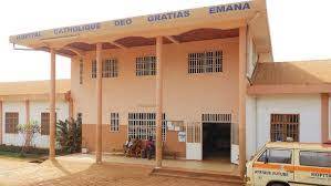 Logo - COLLEGE CATHOLIQUE DEO GRATIAS EMANA