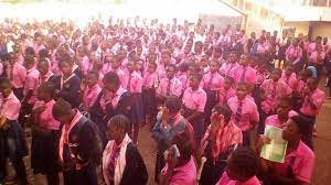 Logo - COLLEGE PRIVE BILINGUE LES PIERRES PRECIEUSES