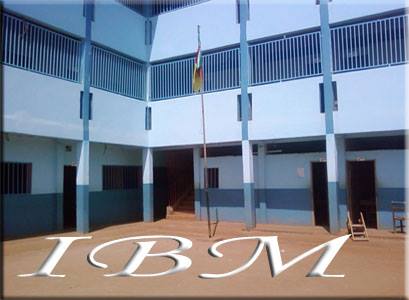 Logo - INSTITUT BILINGUE MICHELANN