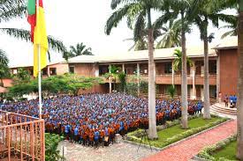 Logo - COLLEGE MGR F-X VOGT